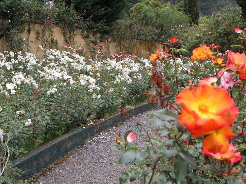 Pestana Quinta Do Arco Nature & Rose Garden Hotel Arco de São Jorge Eksteriør bilde